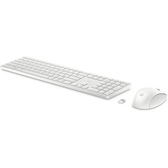 HP Combo tastiera e mouse wireless 650