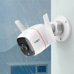 TP-Link TC65 telecamera di sorveglianza Capocorda Telecamera di sicurezza IP Esterno 2304 x 1296 Pixel Soffitto muro