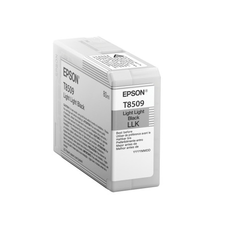 Epson Singlepack Light Light Black T850900