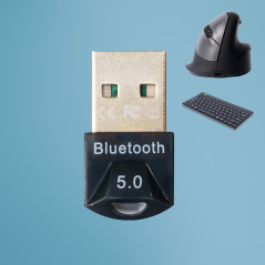 R-Go Tools RGOBLUEDONGLE accessorio del dispositivo di ingresso Ricevitore USB