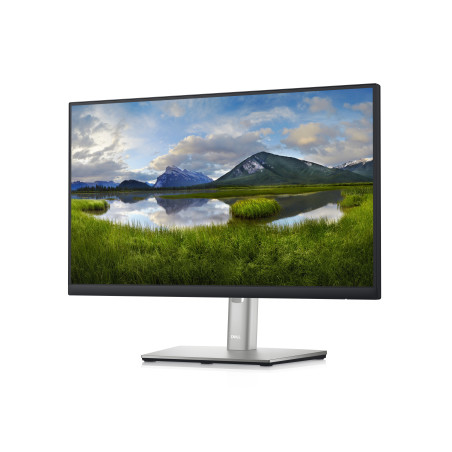 DELL P Series Monitor 22 – P2222H