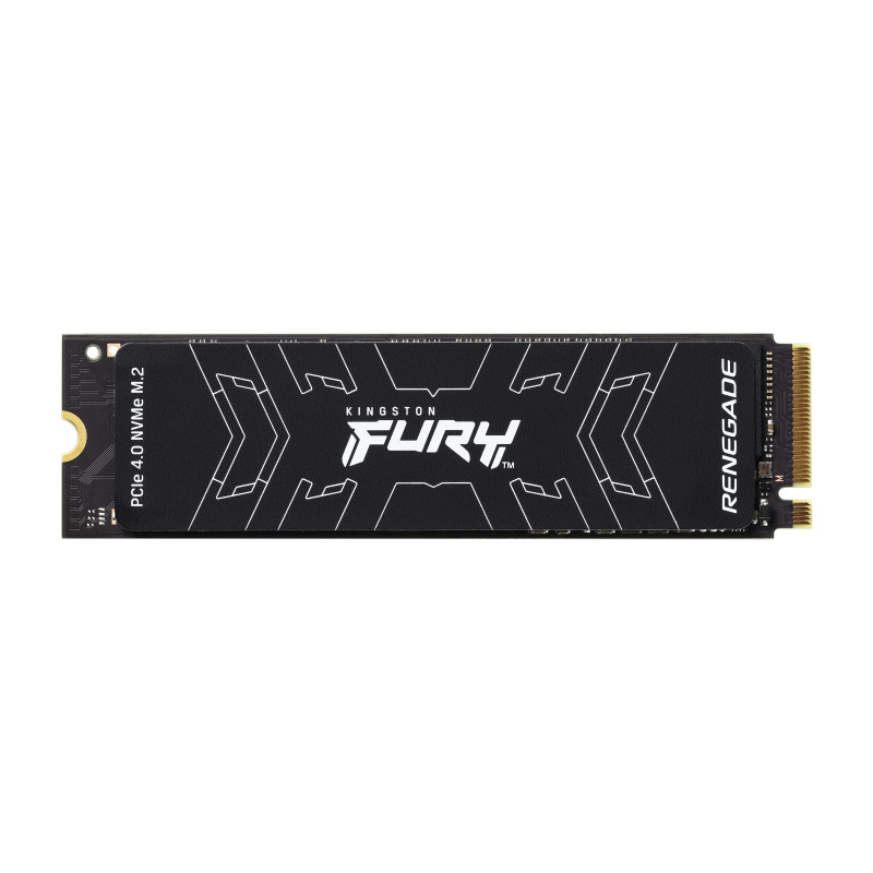 Kingston Technology 1000G FURY RENEGADE M.2 2280 NVMe SSD