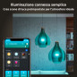 Philips Hue White and Color ambiance 4 Lampadine Smart E27 60 W