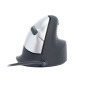 R-Go Tools R-Go HE Mouse, mouse ergonomico, Grande (sopra 185mm), destrorso, cablata