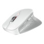 CHERRY JW-8550-0 mouse Universale Mano destra RF Wireless Ottico 4000 DPI