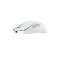 ASUS ROG Harpe Ace Mini mouse Gaming Ambidestro RF Wireless + Bluetooth + USB Type-C Ottico 42000 DPI