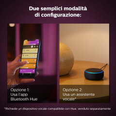 Philips Hue White and Color ambiance IRIS Lampada Smart da Tavolo Rame