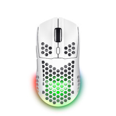 Trust GXT 929 Helox mouse Gaming Mano destra RF Wireless Ottico 4800 DPI