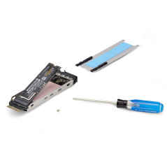 StarTech.com Adattatore SSD M.2 NVMe a PCIe x8 rack mobile a doppio alloggiamento rimovibile biforcazione necessaria