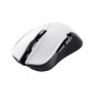 Trust GXT 923W YBAR mouse Gaming Mano destra RF Wireless Ottico 7200 DPI