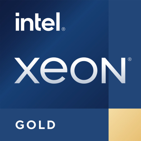 DELL Intel Xeon Gold 5416S processore 2 GHz 30 MB