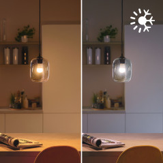 Philips LED Lampadina Smart Dimmerabile Luce Bianca o Colorata Attacco E14 40WSfera