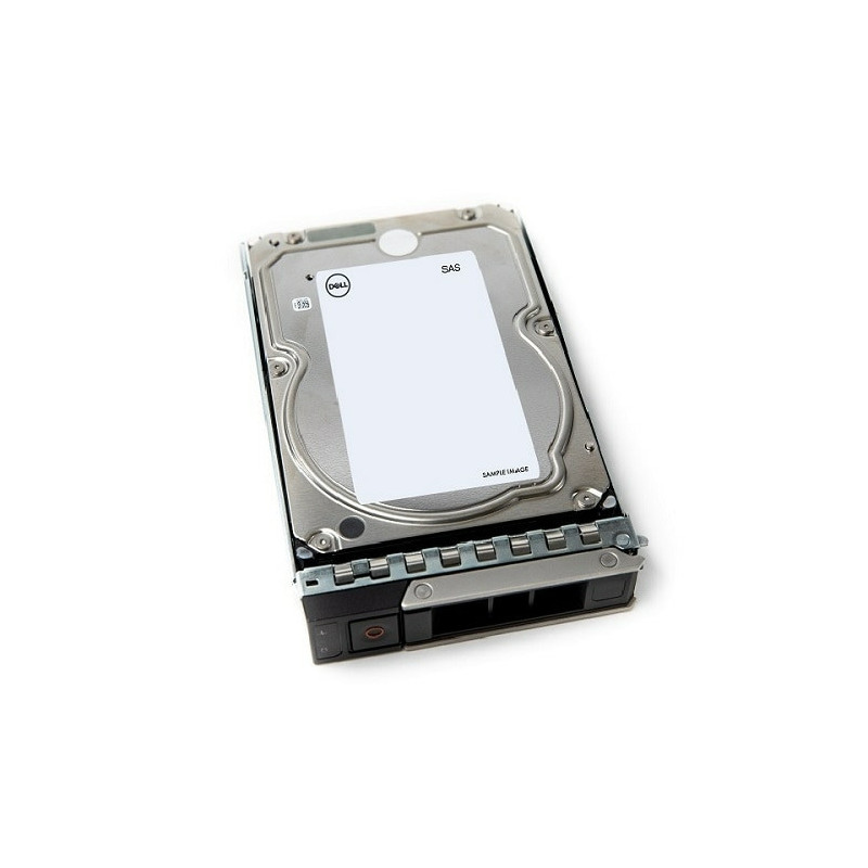 DELL 161-BCJX disco rigido interno 12 TB 7200 Giri/min 3.5" NL-SAS