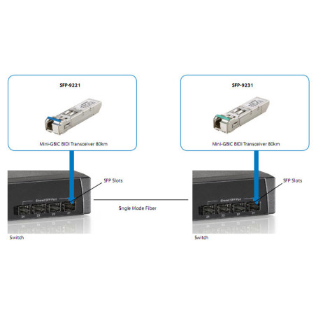 LevelOne SFP-9221 modulo del ricetrasmettitore di rete Fibra ottica 1250 Mbit/s