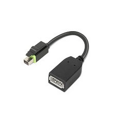 Lenovo 4X90Q93975 cavo e adattatore video Mini DisplayPort DisplayPort Nero