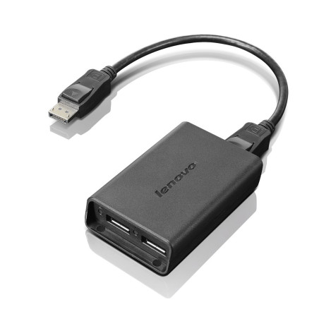 Lenovo DisplayPort to Dual-DisplayPort Monitor Cable USB A Nero