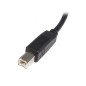 StarTech.com Cavo USB 2.0 per stampante tipo A / B ad alta velocità M/M - 2m