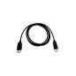 V7 Cavo video nero Pro da DisplayPort maschio a DisplayPort maschio 2 m