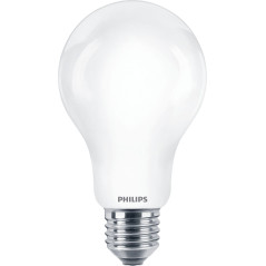 Philips Lampadina smerigliata a filamento 120 W A67 E27