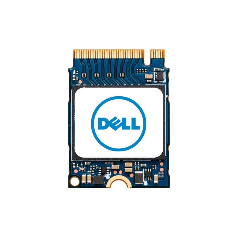 DELL AC280179 drives allo stato solido 1 TB M.2 PCI Express 4.0 NVMe