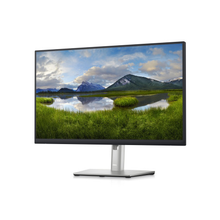 DELL P Series Monitor 24 Hub USB-C - P2423DE