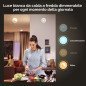 Philips Hue White 2 Lampadine Smart E27 60 W