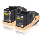 Epson Toner Giallo (conf.doppia)