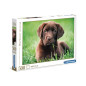 Clementoni 35072 puzzle 500 pz Animali