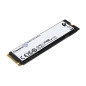 Kingston Technology 2000G FURY RENEGADE M.2 2280 NVMe SSD