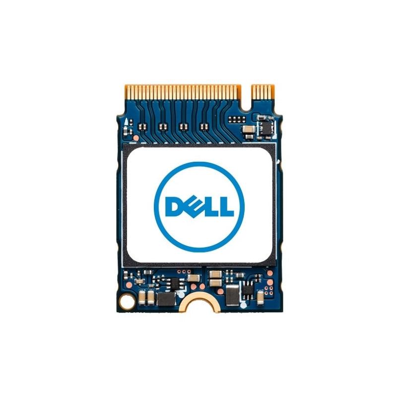 DELL AB673817 drives allo stato solido 1 TB M.2 PCI Express NVMe