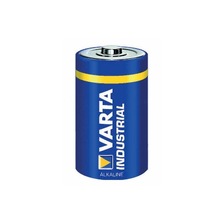 Varta 04020211111 Batteria monouso D Alcalino