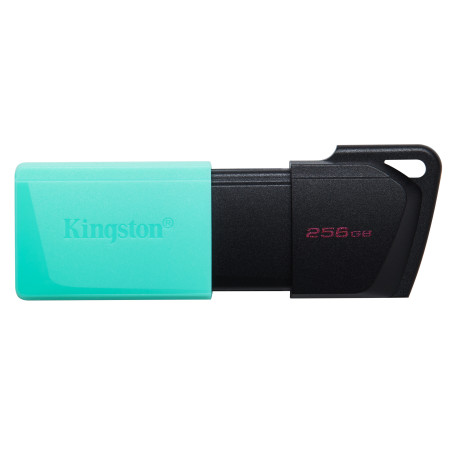 Kingston Technology DataTraveler 256GB USB3.2 Gen1 Exodia M (Nero + Verde ottanio)