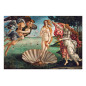 Clementoni Museum Collection Botticelli, "The Birth Of Venus"