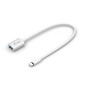 i-tec C31ADA cavo USB USB 3.2 Gen 2 (3.1 Gen 2) 0,2 m USB C USB A Bianco