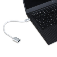 i-tec C31ADA cavo USB USB 3.2 Gen 2 (3.1 Gen 2) 0,2 m USB C USB A Bianco