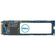 DELL AC037411 drives allo stato solido 4 TB M.2 PCI Express 4.0 NVMe