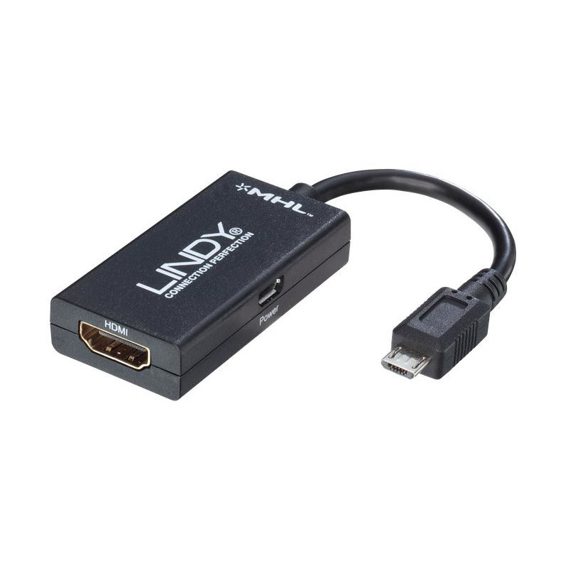 Lindy 41561 adattatore grafico USB Nero