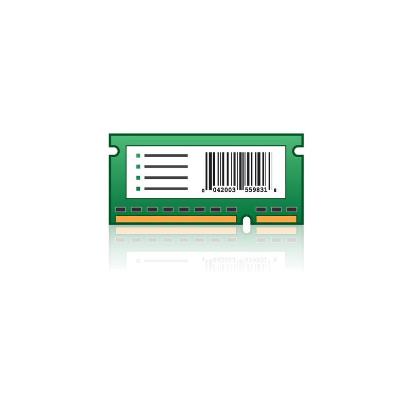 Lexmark 256MB Flash