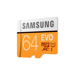 Samsung EVO 64 GB MicroSDXC UHS-I Classe 10