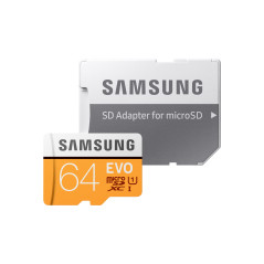 Samsung EVO 64 GB MicroSDXC UHS-I Classe 10