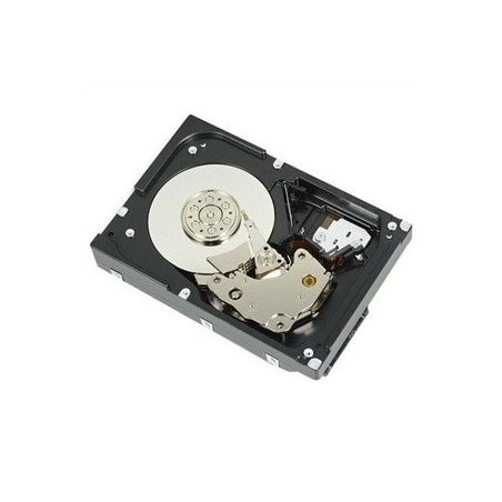 DELL 400-AUPW disco rigido interno 1 TB 7200 Giri min 3.5" Serial ATA III