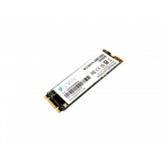 V7 V7SSD240GBM2SE drives allo stato solido 240 GB M.2 Serial ATA III 3D TLC