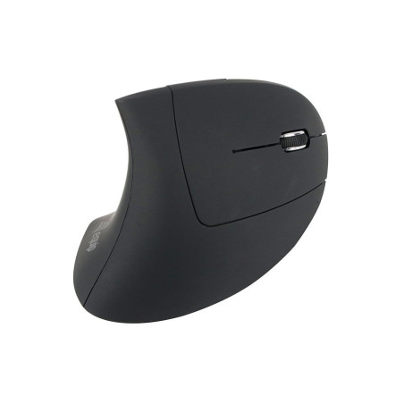 Equip 245110 mouse Mano destra RF Wireless Ottico 1600 DPI