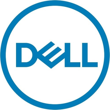 DELL 540-BBVM scheda di rete e adattatore Interno Ethernet 10000 Mbit s