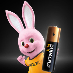 Duracell Plus 100 AA B8 x12