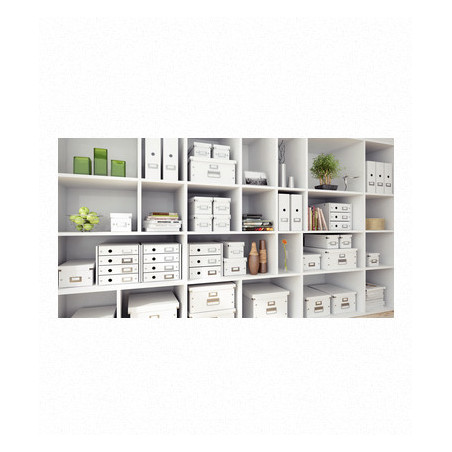 Leitz Cassettiera Click & Store