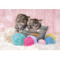 Clementoni Sweet Kittens Puzzle 104 pz Fauna