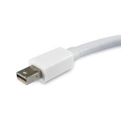 Equip 133440 cavo e adattatore video 0,15 m Mini DisplayPort DisplayPort Bianco