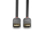 Lindy 36480 cavo DisplayPort 0,5 m Nero