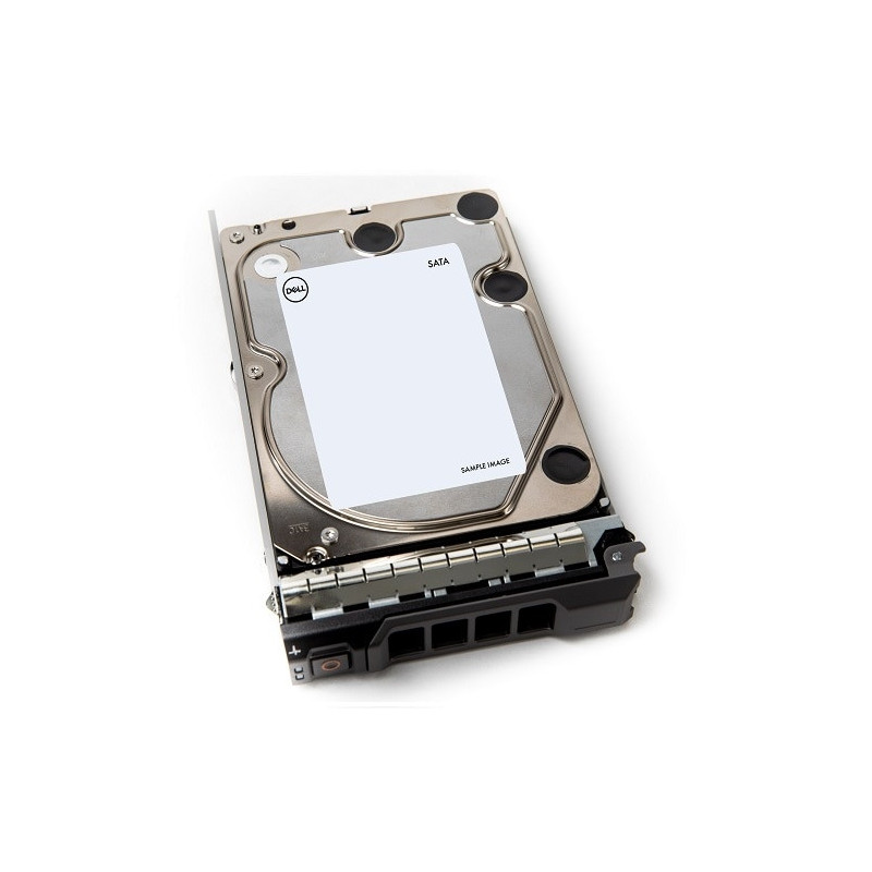 DELL 400-AEFB disco rigido interno 1 TB 7200 Giri/min 3.5" Serial ATA III